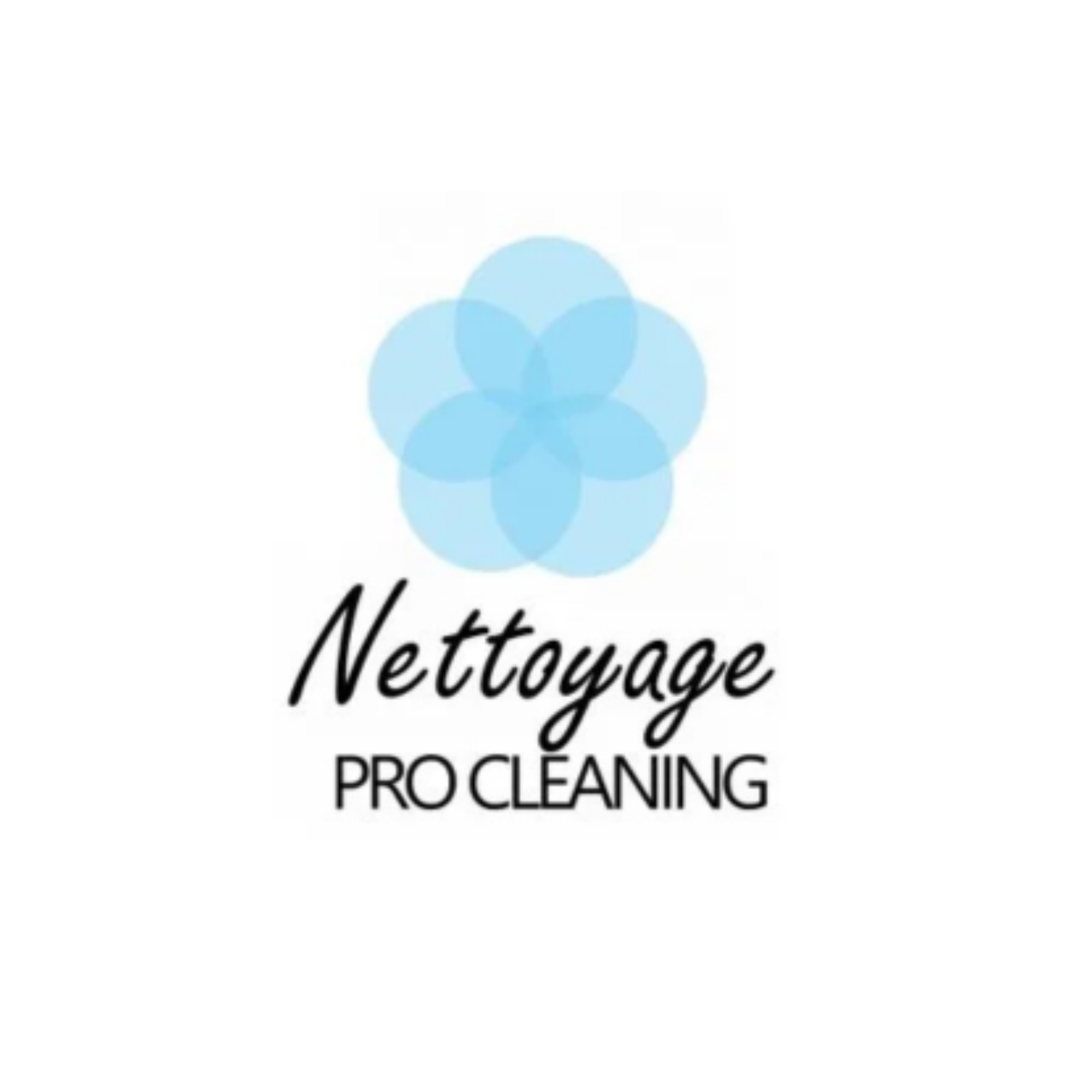 Nettoyage Pro Cleaning